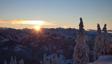 © Erwin Trampitsch Sonnenaufgang über verschneiten Bergen mit Bäumen im Vordergrund | © Erwin Trampitsch