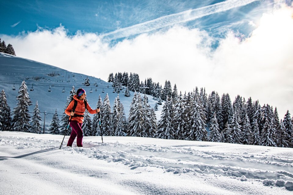 © Chatel L. Meyer © Chatel L. Meyer